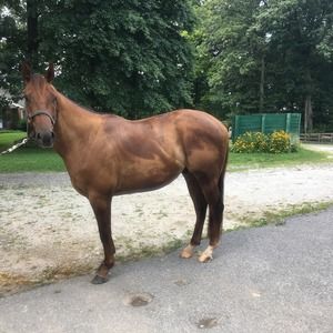 Meet your Posher, Alecia